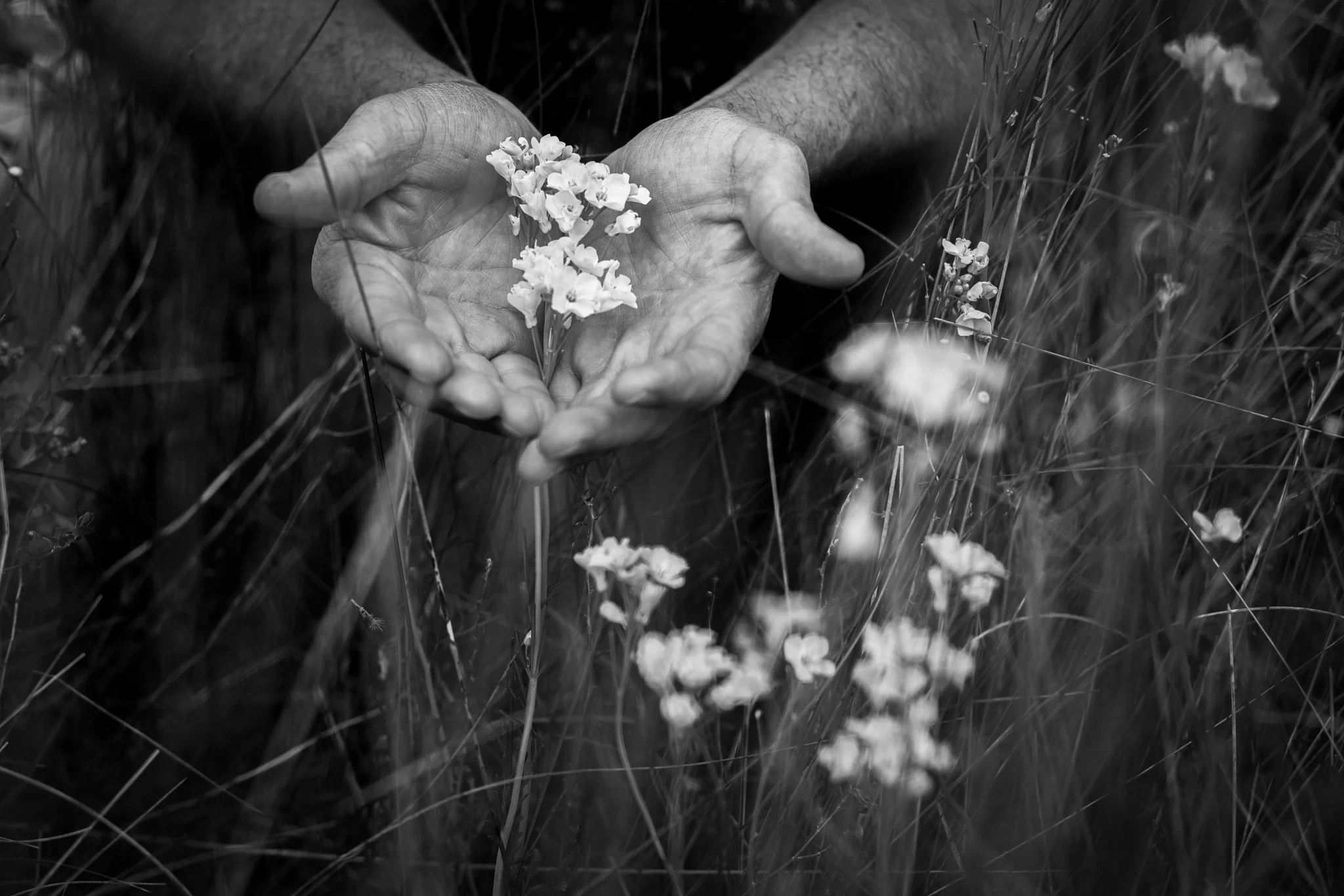 Subscribe to Domei newsletter